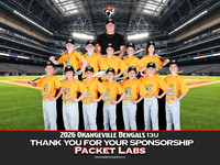 13UPacketlabs