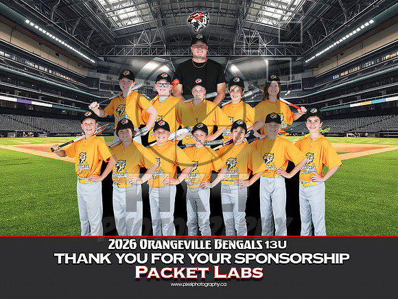 13UPacketlabs