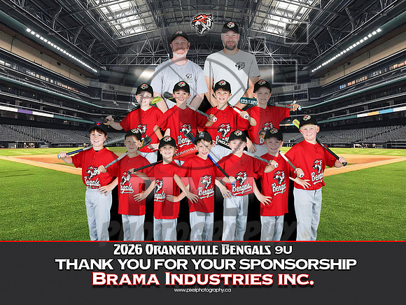 9UBramaIndustriesInc