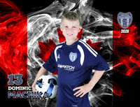 PLAYER_13_Pelhamu10BWhite_Dominic_MACHIKA_ID=080726-MACKTWD2K