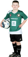 U8B-4PORTUGAL-MarkvilleToyota_Jasper_Webbstock_7562