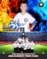 U8B-TEAM2USA_Lincoln_TRUONG_