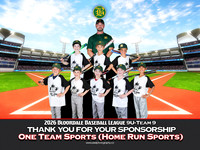 9U-Team9-HomeRunSports