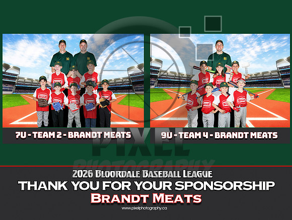 Brandt Meats