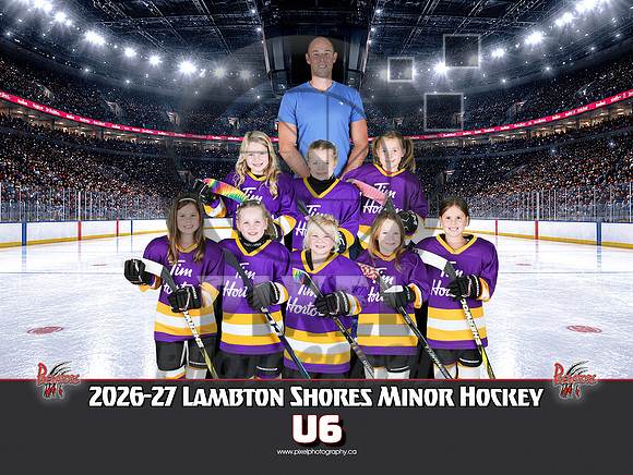 U6-Purple