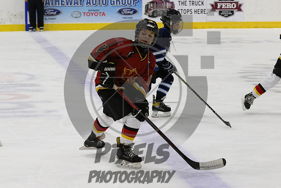 0T2A8118