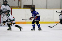 pm 00.12 [U13] Mariposa Blue VS Brock Wild
