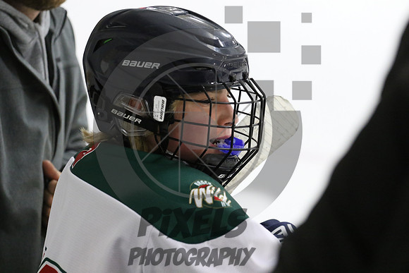 20231105-8799
