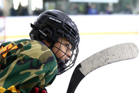 am 10.00 PAD B [U14A] Guelph Gryphons VS Milton Winterhawks
