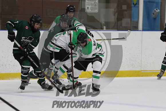 20231110-3567