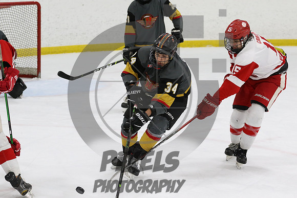 20231110-4448