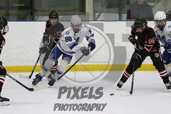20231110-8999