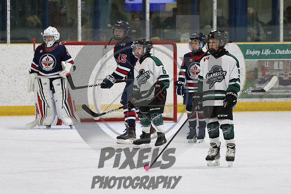 20231111-11018