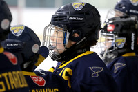 am 09.30 PAD B [U11B] Flamborough Sabres VS Milton Winterhawks