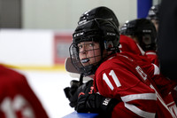 am 10.30 PAD B [U14AA] Stoney Creek Warriors VS Rochester Jr.Americans