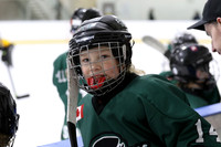 pm 04.45 PAD B [U13A] Parry Sound Shamrocks VS Flamborough Sabres