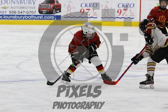 0T2A3341
