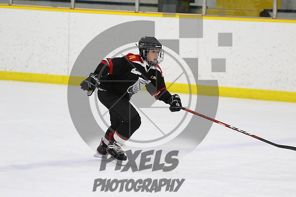 20231227-4310