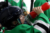 pm 05.00 [U13] Ingersoll Express Ponting Financial Group VS Cayuga Stars