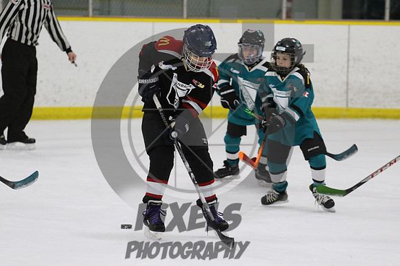 20231229-13261