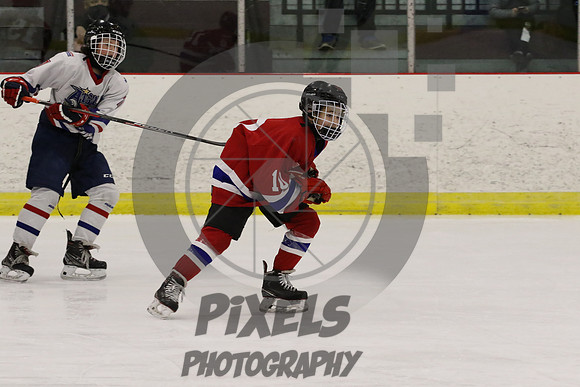 0T2A5174