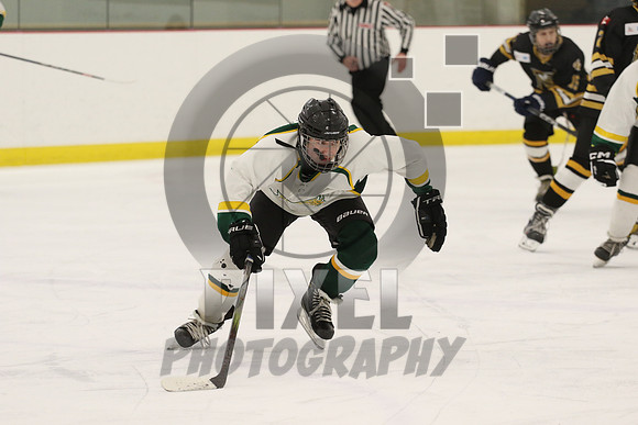 20240211-9954