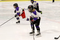 1.30pm - Bowl [U9MDRR] Napanee Stars VS Prince Edward County