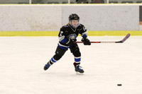 6.30pm - Pond [U9MDRR] Brighton Bolts VS Napanee Stars
