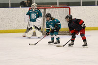20240406-16278