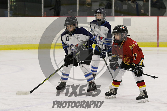 0T2A6879