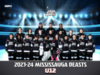 U12 copy