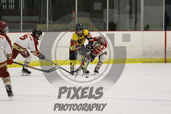 0T2A3415